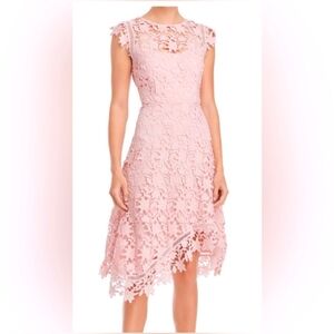 Eliza J Lace Asymmetrical Hem Cap Sleeve Midi Dress Blush Lace Size 12